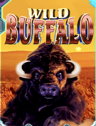 Wild buffalo