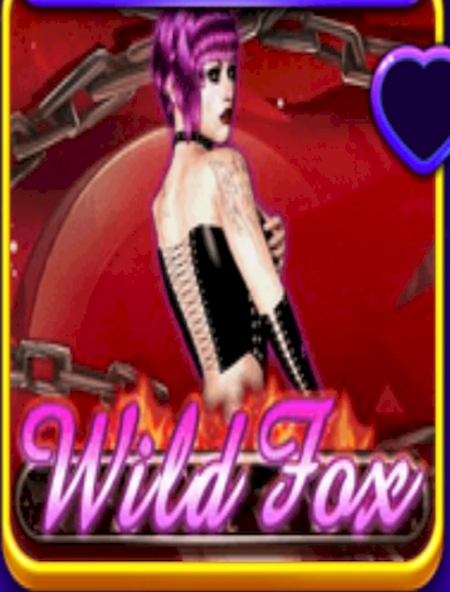 Wild fox