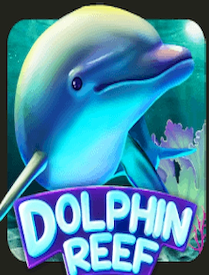 Dolphin reef