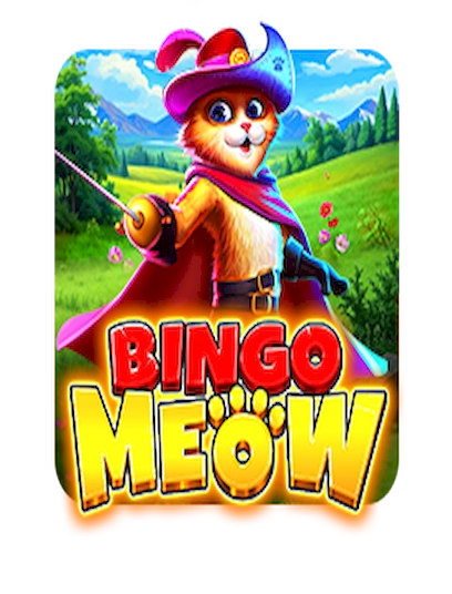 Bingo meow