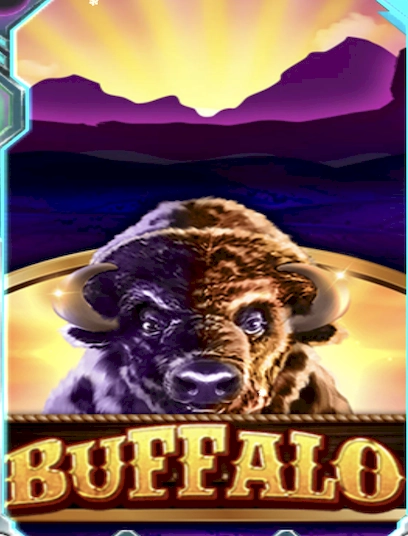 Buffalo 