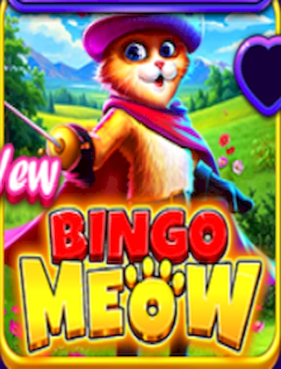 Bingo meow