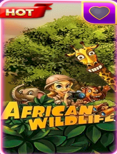African wildlife 