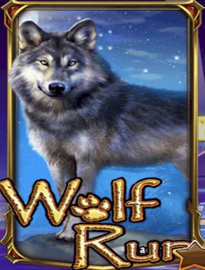 Wolf run