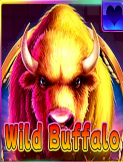 Wild buffalo