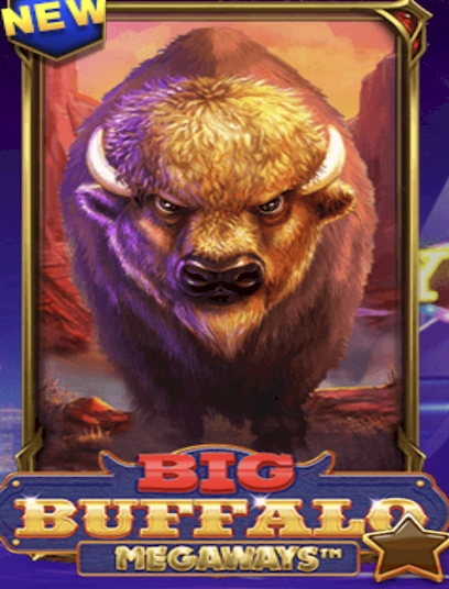 Big buffalo