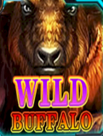 Wild buffalo