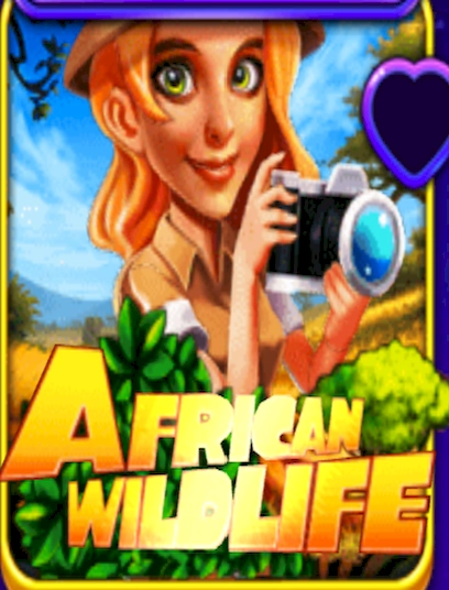 African wildlife