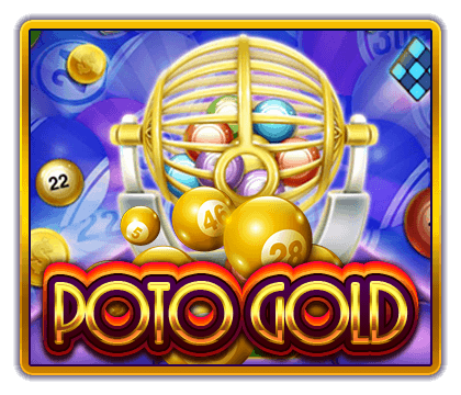POTO Gold 