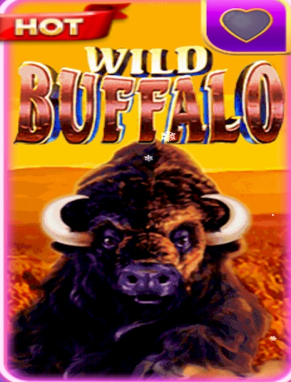 Wild buffalo