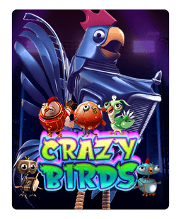 Crazy birds