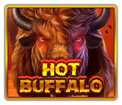 Hot Buffalo