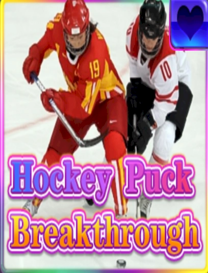 Hockey puck