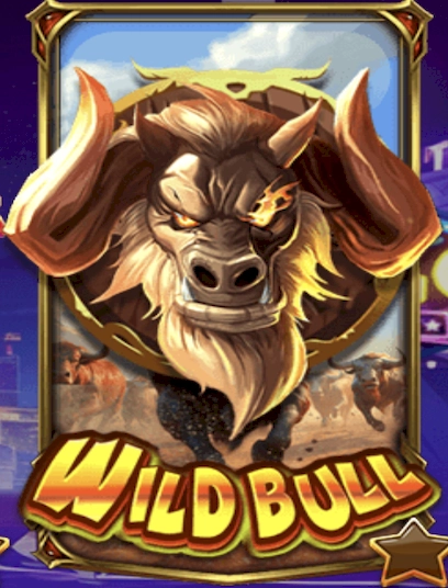Wild bull 